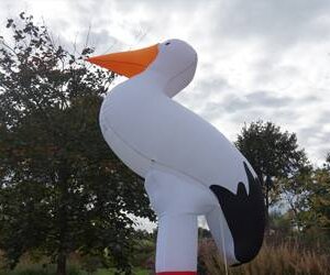 Opblaasbare Ooievaar verhuur